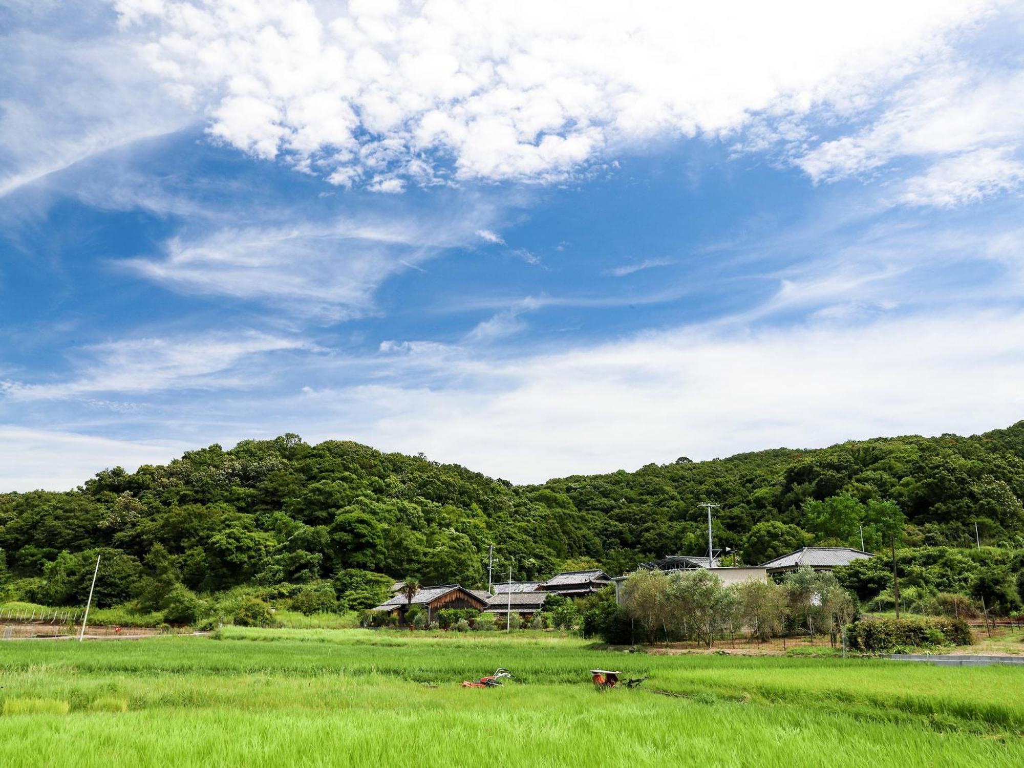 オリーブ農家の家 お泊り忠左衛門 吉野 Vila Shodoshima Exterior foto